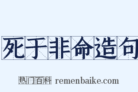 死于非命造句是什么意思的图片